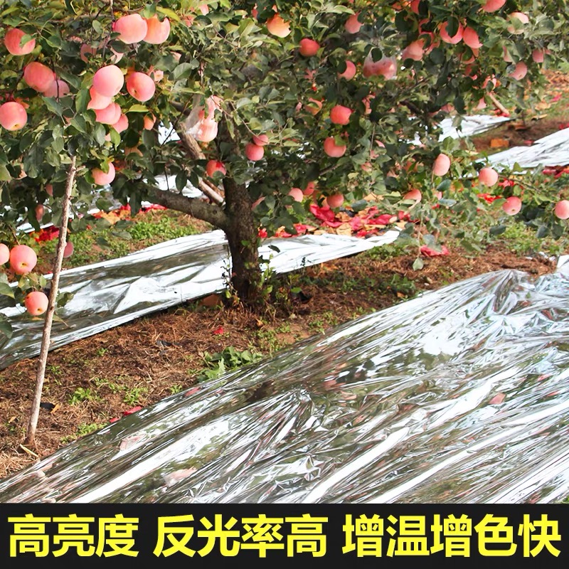 杭州市货车苫盖膜果树反光膜 - 厂家